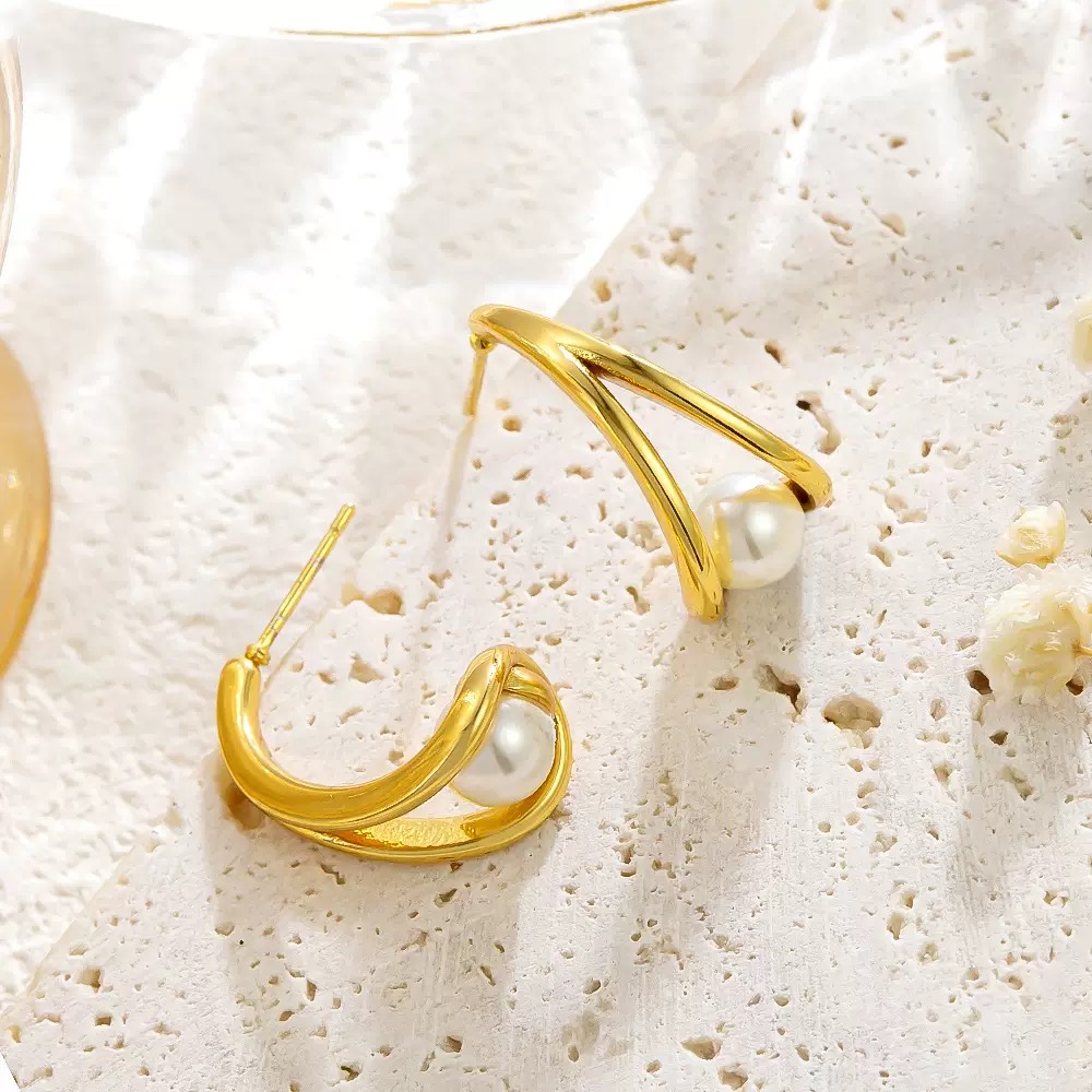 French stainless steel earrings