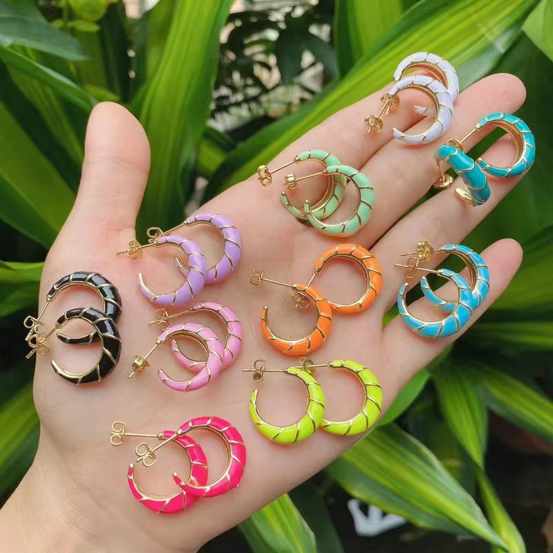 Colorful enamel drop - glazed earrings